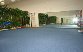 Фитнес-клуб «Family Fitness»