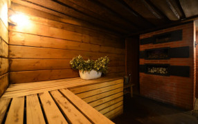 Баня «Vitasport»